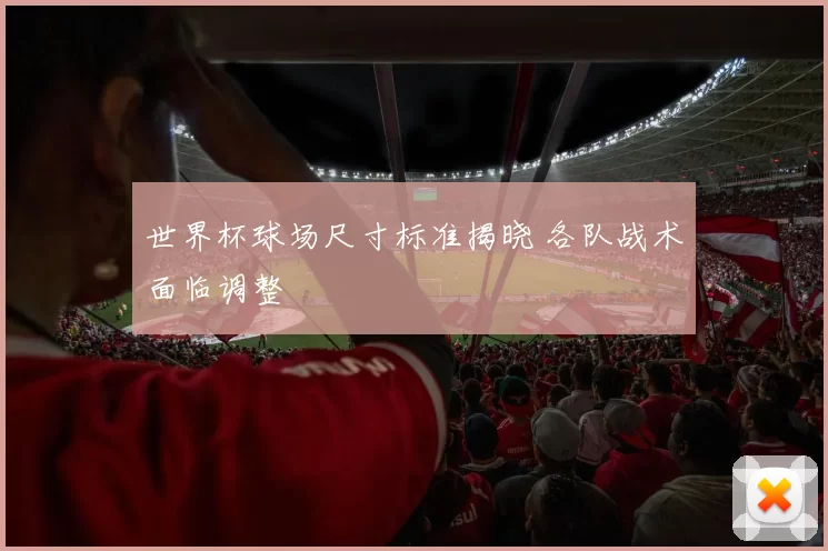 世界杯球场尺寸标准揭晓 各队战术面临调整