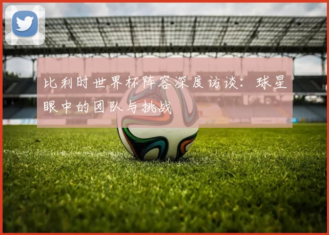 比利时世界杯阵容深度访谈:球星眼中的团队与挑战