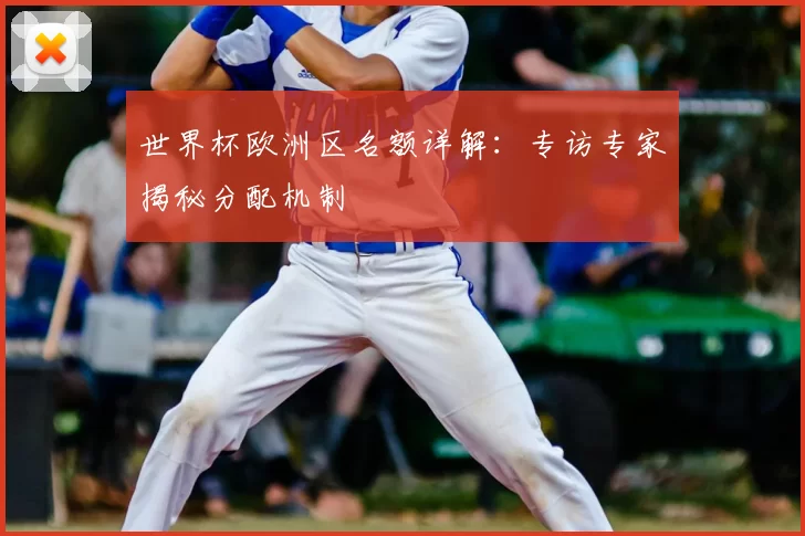 世界杯欧洲区名额详解:专访专家揭秘分配机制