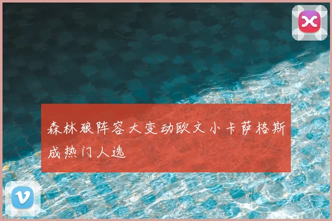 森林狼阵容大变动欧文小卡萨格斯成热门人选