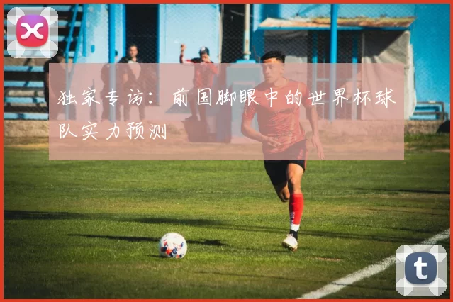 独家专访:前国脚眼中的世界杯球队实力预测