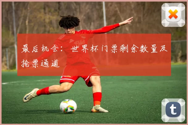 最后机会:世界杯门票剩余数量及抢票通道