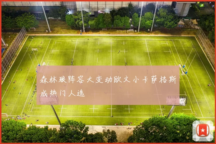 森林狼阵容大变动欧文小卡萨格斯成热门人选