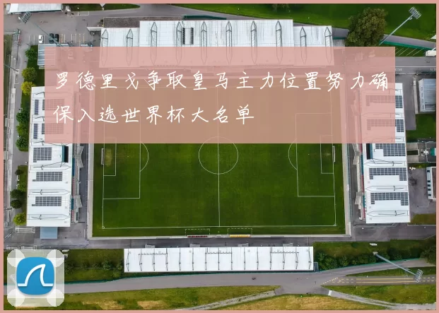 罗德里戈争取皇马主力位置努力确保入选世界杯大名单