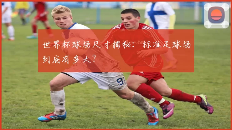 世界杯球场尺寸揭秘:标准足球场到底有多大?
