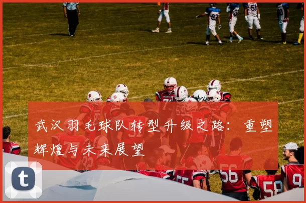 武汉羽毛球队转型升级之路：重塑辉煌与未来展望