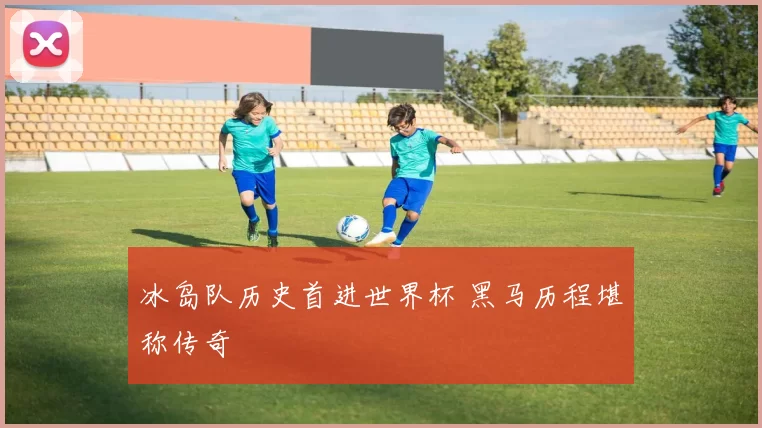 冰岛队历史首进世界杯 黑马历程堪称传奇