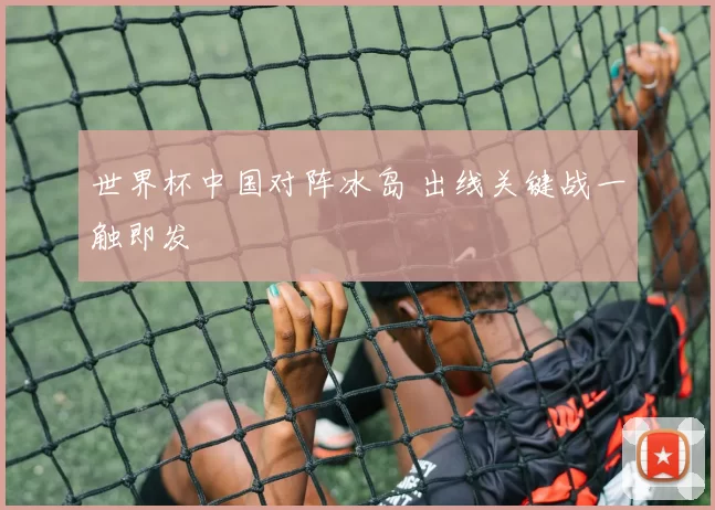 世界杯中国对阵冰岛 出线关键战一触即发