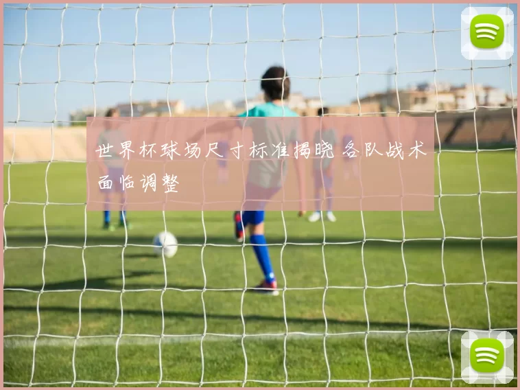 世界杯球场尺寸标准揭晓 各队战术面临调整