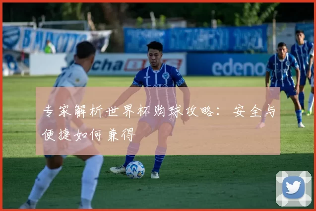 专家解析世界杯购球攻略：安全与便捷如何兼得