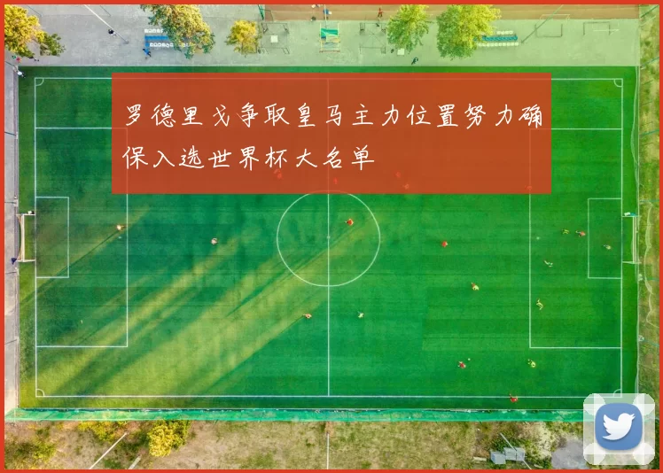 罗德里戈争取皇马主力位置努力确保入选世界杯大名单