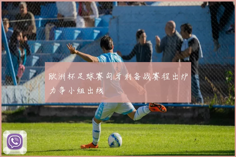 欧洲杯足球赛匈牙利备战赛程出炉力争小组出线